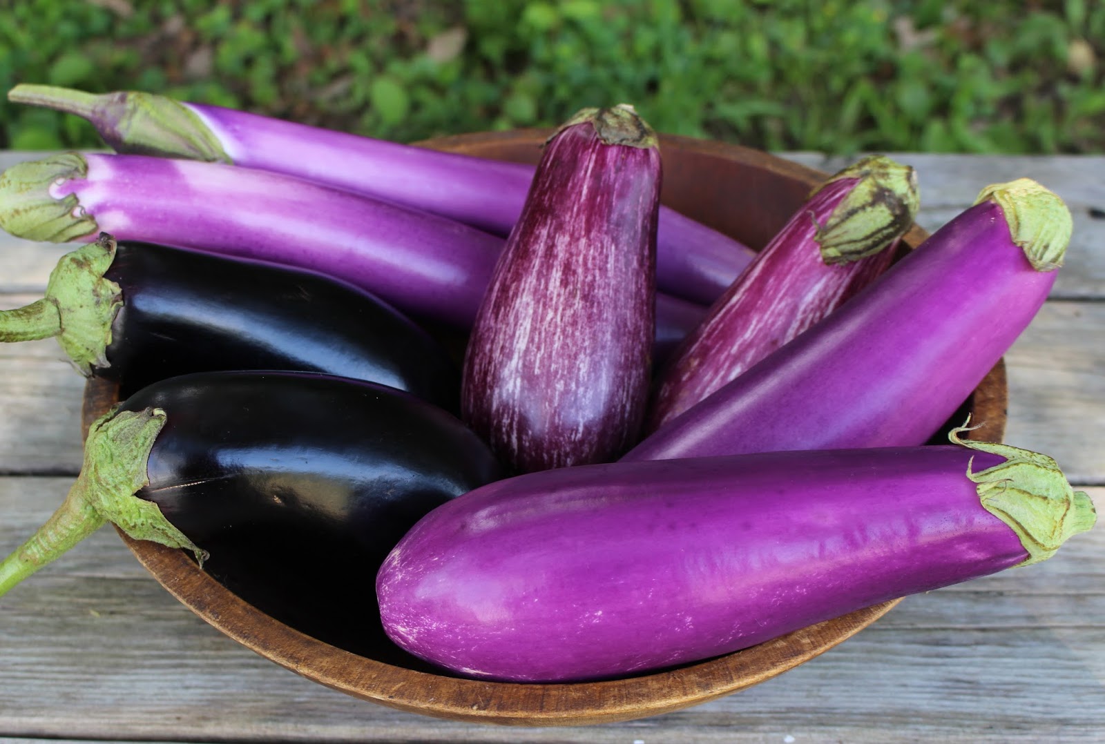 Eggplant A MustHave In Every Household Factspree