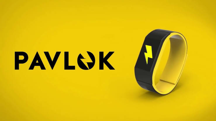 Pavlok net worth