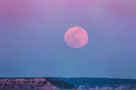The pink moon