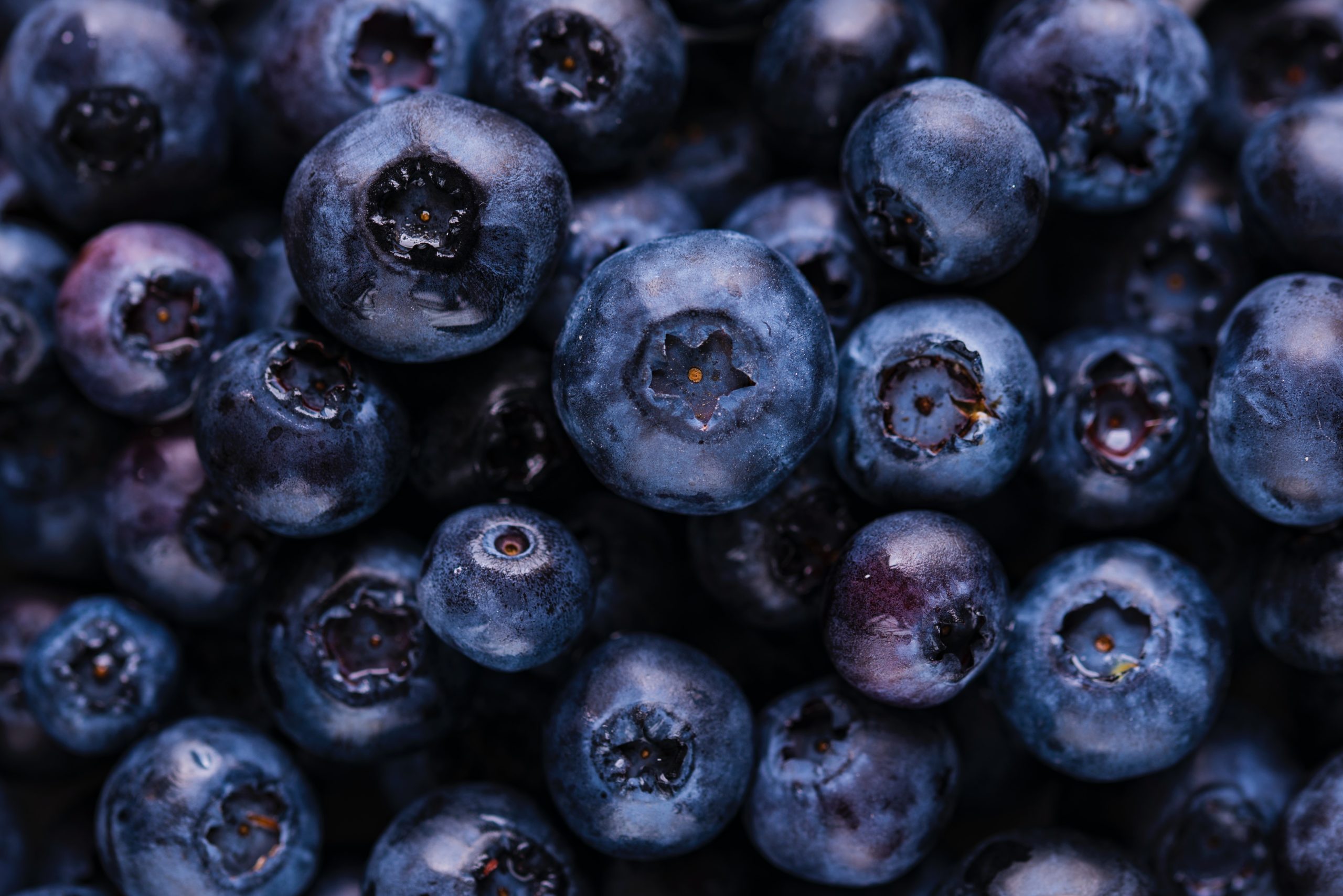 Why you should eat more blueberries