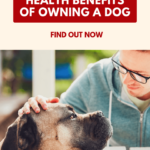 The Health Benefits of Owning a Dog: How Pets Improve Mental and Physical Well-being Benefits
