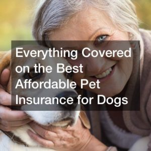 Cheap Pet Insurance