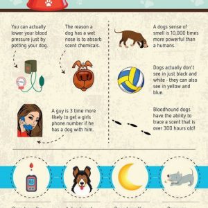 Pet Facts