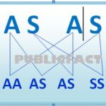 Living Long Naturally with the SS Genotype SS genotype