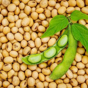 Soybeans