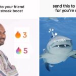 TikTok Streak: How You Can Make Money From Tiktok Streak TikTok Streak