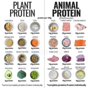 Dishes High in Protein